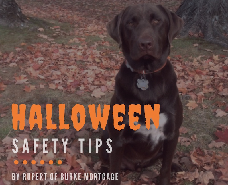 Community service Halloween Safety Tips
